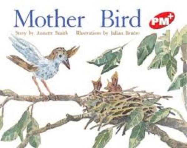 Mother Bird (Level 4)