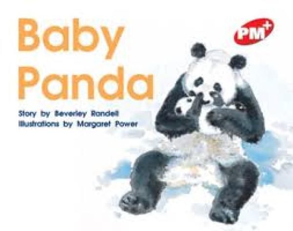 Baby Panda (Level 5)
