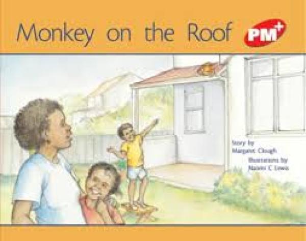 Monkey on the Roof (Level 5)