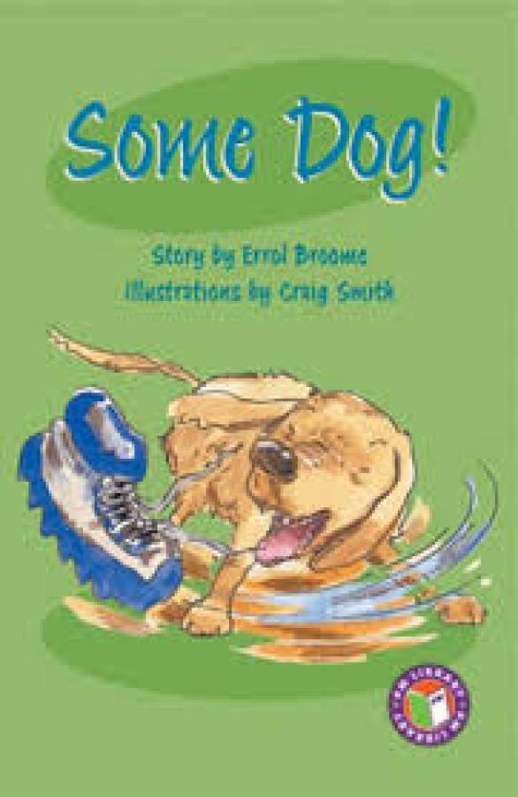 Some Dog! (LVL 27 Fiction)