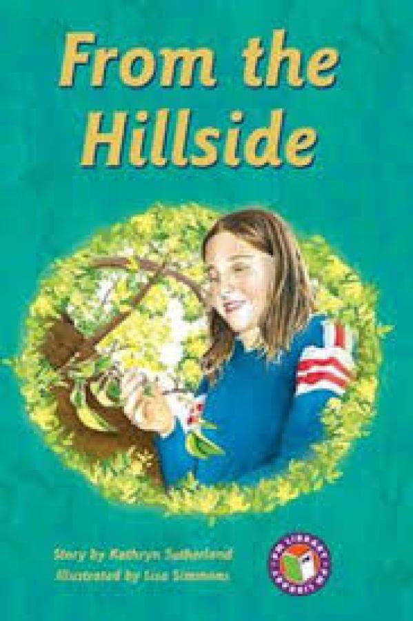 From the Hillside (LVL 30 Fiction)