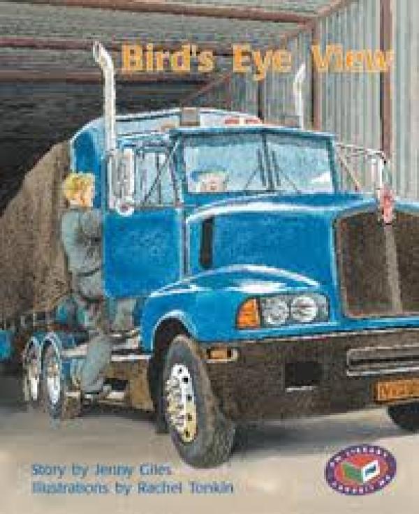 Bird's-Eye View (LVL 18 Fiction)