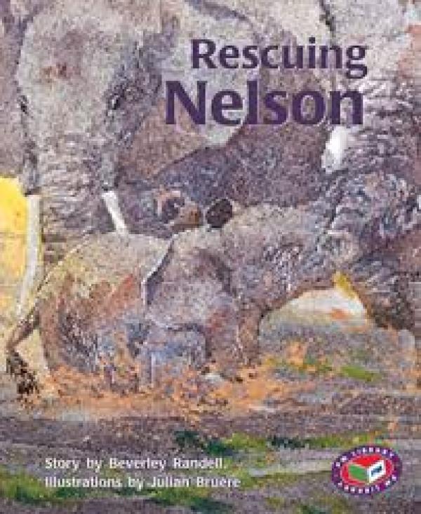 Rescuing Nelson (Level 17)