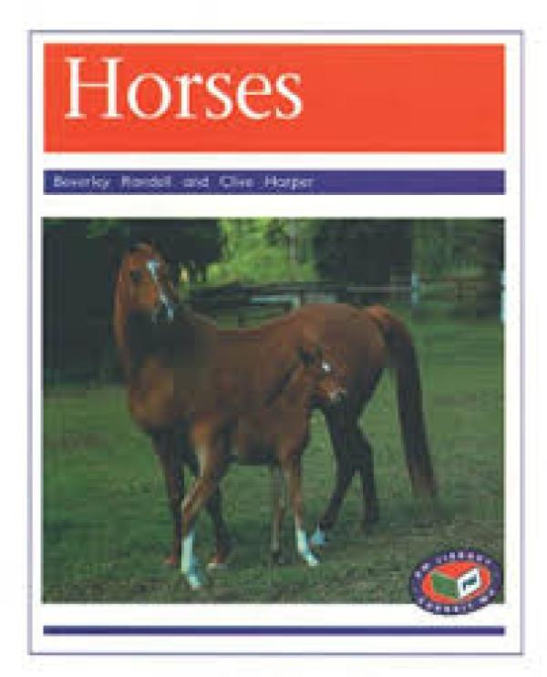 Horses (Level 19-20)