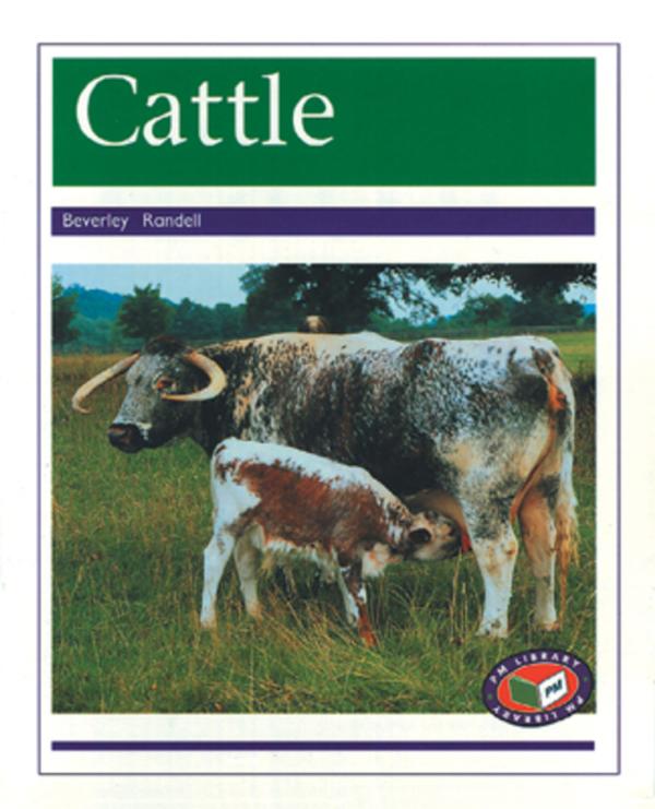 Cattle (Level 19-20)