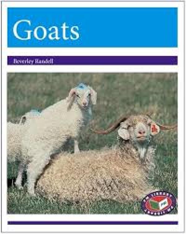 Goats (Level 19-20)