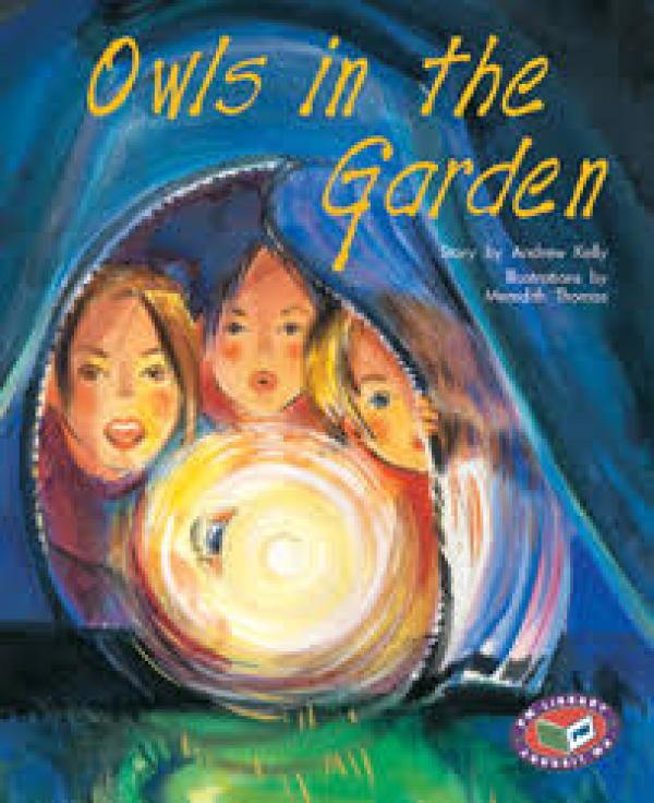 Owls in Garden (Level 21)