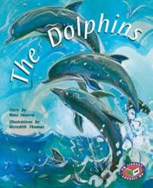 The Dolphins (Level 22)