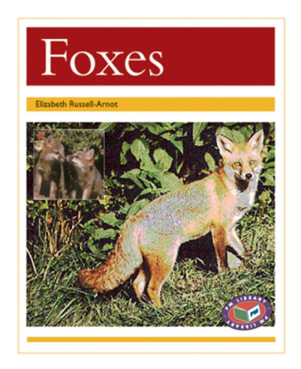 Foxes (Level 22)