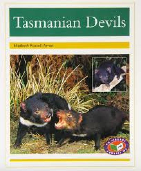 Tasmanian Devils (Level 22)