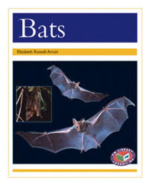 Bats (Level 22)