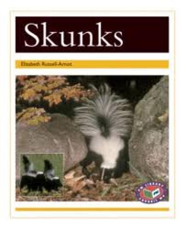 Skunks (Level 22)
