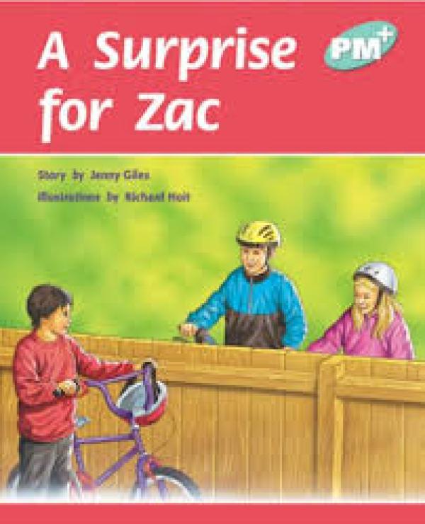 A Surprise for Zack (LVL 17)