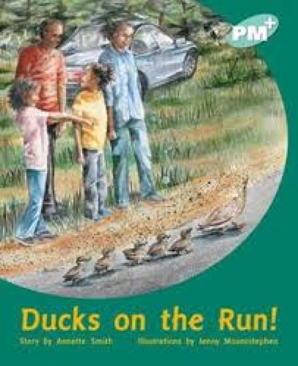 Ducks on the Run (Level 17)