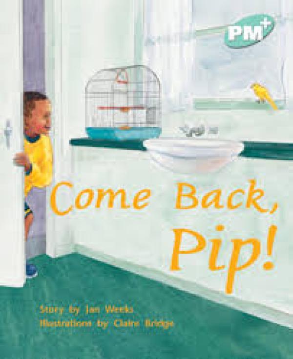 Come Back, Pip! (Level 17)