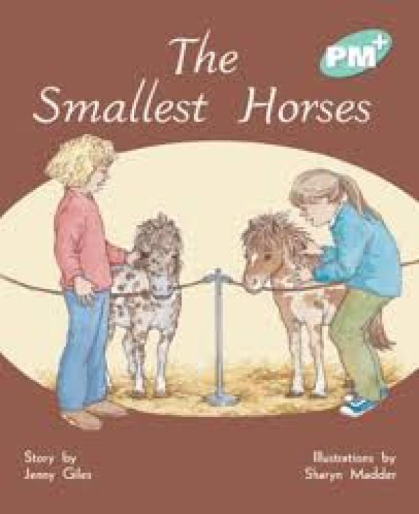 Smallest Horses (Level 17)