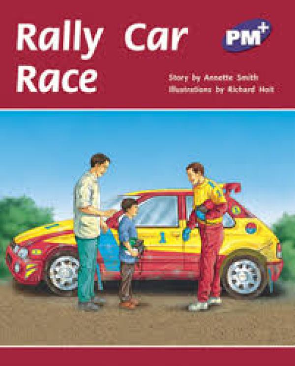 Rally Car Race (Level 19)