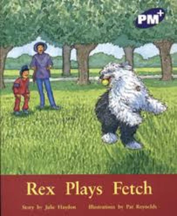 Rex Plays Fetch (Level 19)