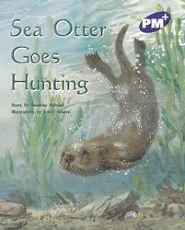 Sea Otter Goes Hunting (Level 19)