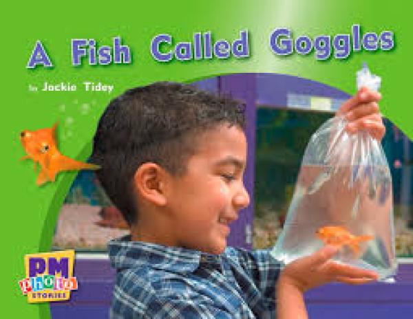 A Fish Called Goggles (Level 13)