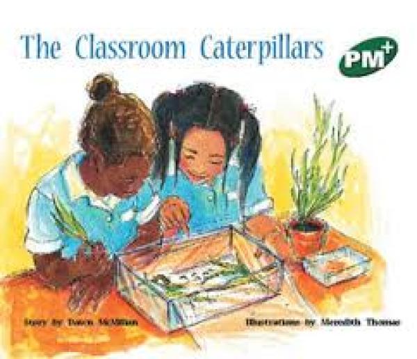 The Classroom Caterpillars (LVL 13)