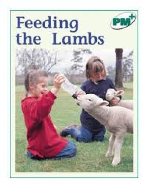 Feeding the Lambs (Level 15-16)