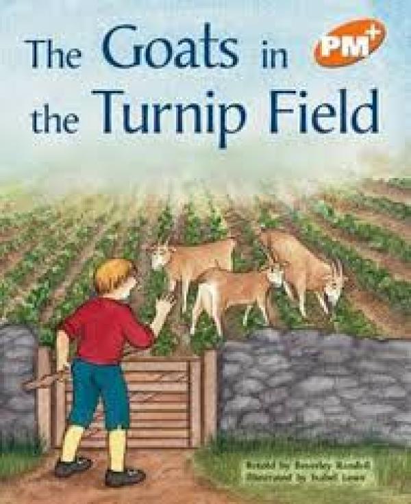 Goats in the Turnip Field (Level 15)