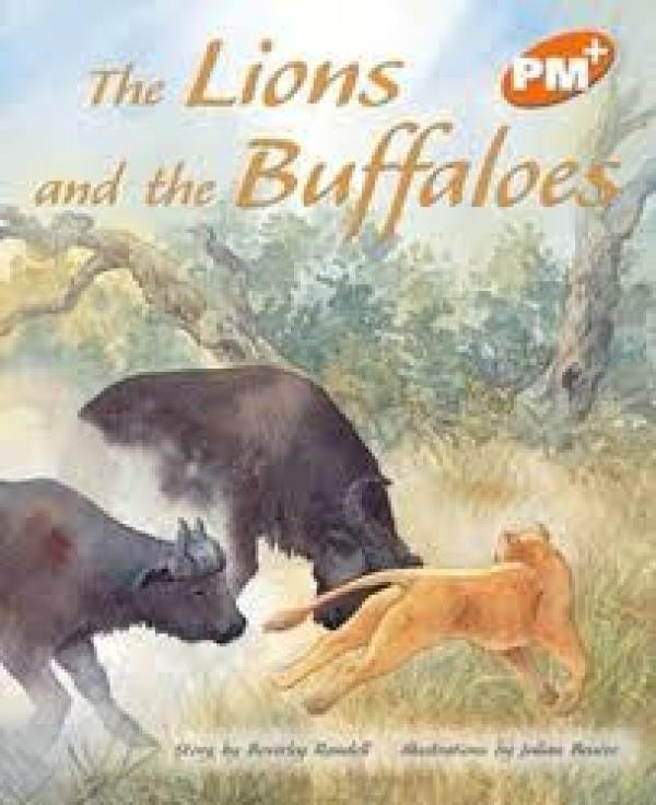 Lion Cubs & the Buffalo (Level 16)