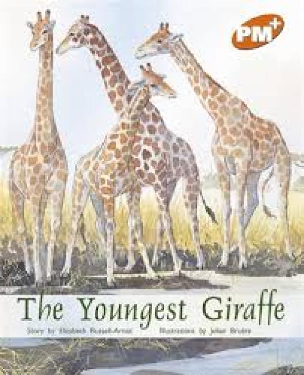 The Youngest Giraffe (Level 16)