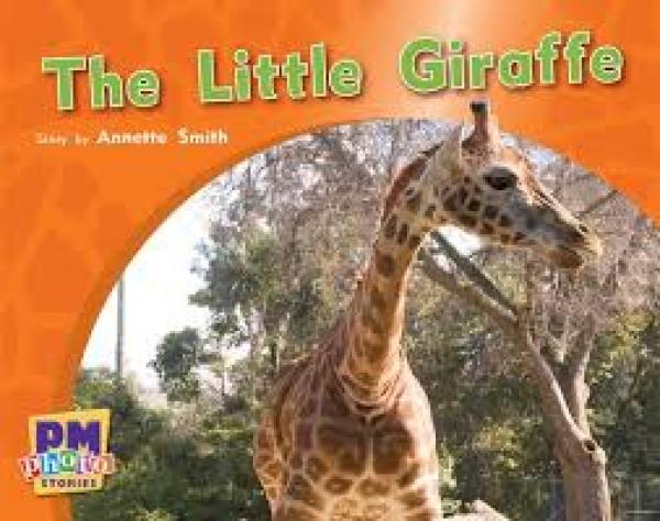 The Little Giraffe (LVL 3)