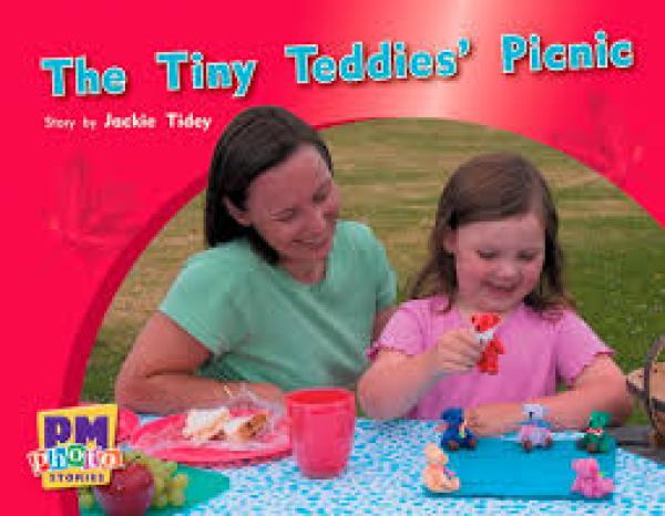 The Tiny Teddies' Picnic (Level 5)
