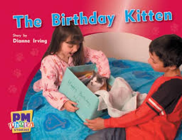 The Birthday Kitten (LVL 8)