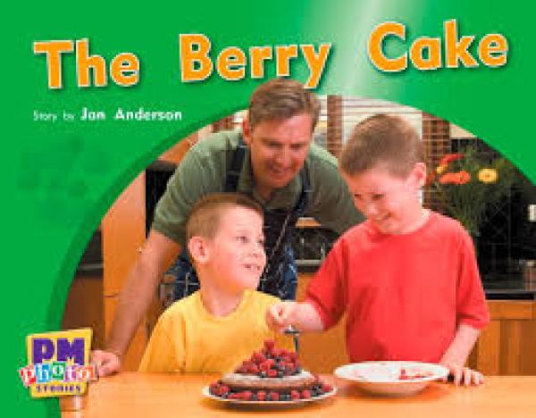The Berry Cake (Level 11)