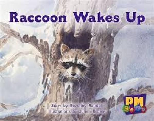 Raccoon Wakes Up (Level 3)