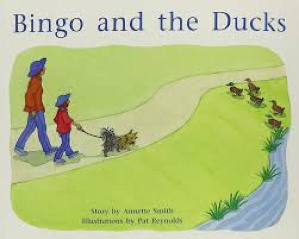 Bingo and the Ducks (Level 6)
