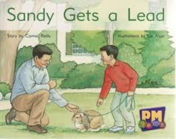 Sandy Gets a Lead (Level 6)