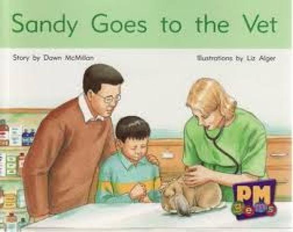 Sandy Goes to the Vet (LVL 11)