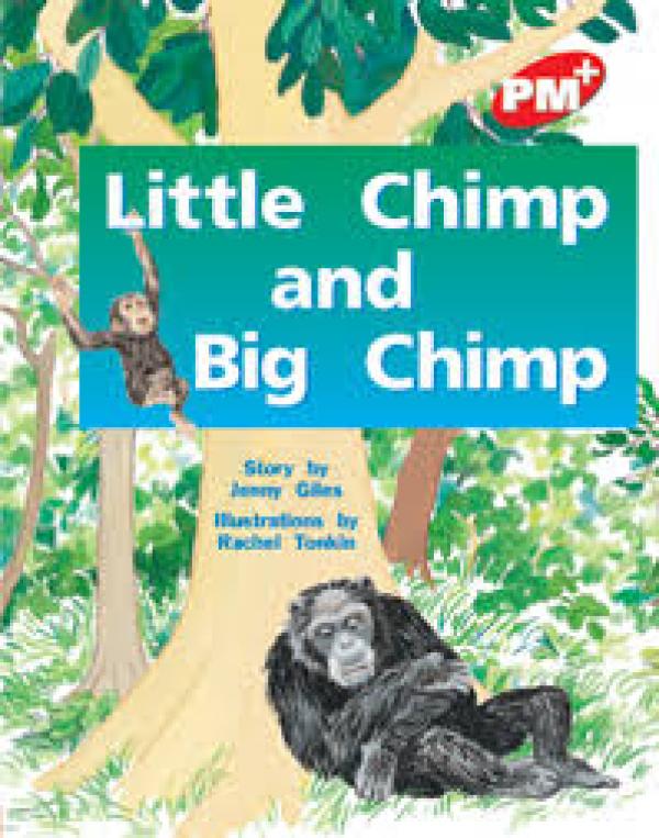 Little Chimp & Big Chimp (LVL 4)