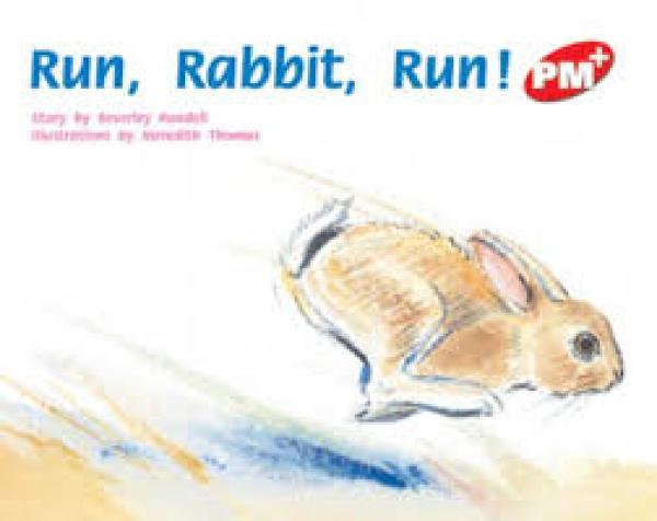 Run, Rabbit, Run! (Level 5)