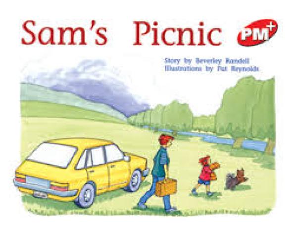 Sam's Picnic (Level 5)