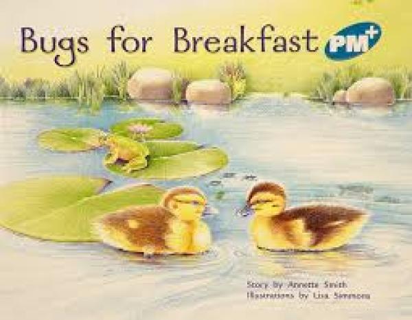 Bugs for Breakfast (LVL 9)