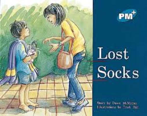 Lost Socks (Level 10)