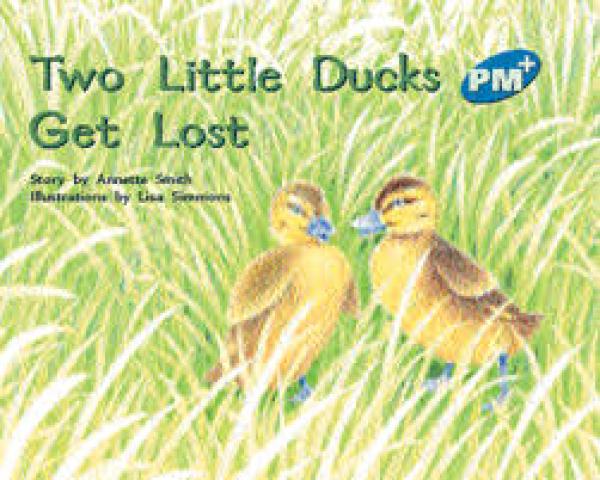 Two Little Ducks Get Lost (Level 10)