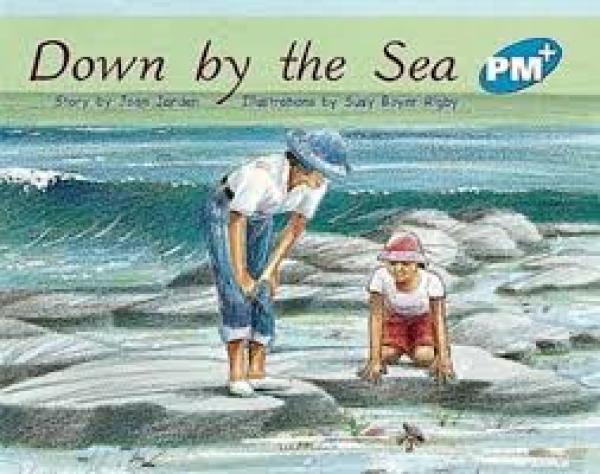 Down By the Sea (Level 11)
