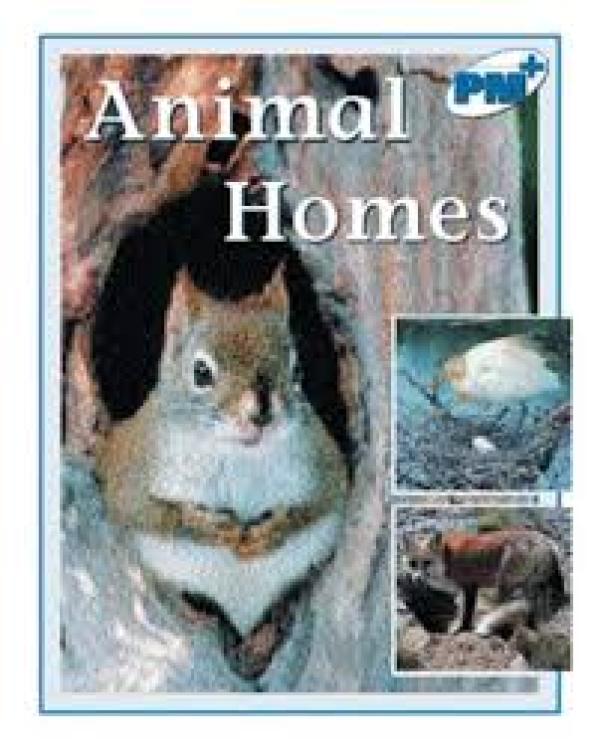 Animal Homes (Level 11-12)