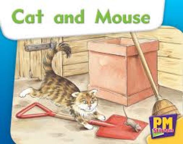 Cat and Mouse (LVL 2-3)