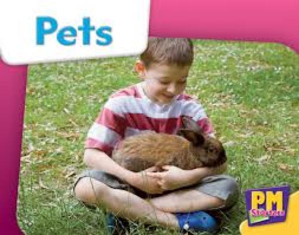 Pets (Level 1)