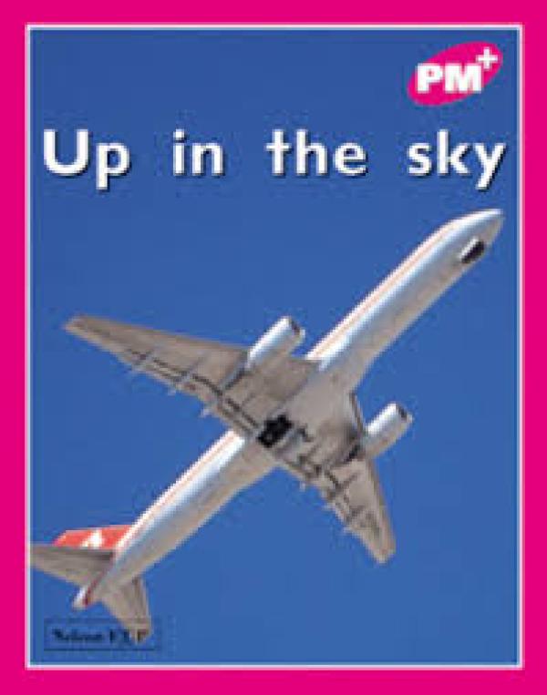Up in the Sky (Level 1)
