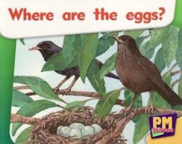 Where Are the Eggs? (Level 2-3)