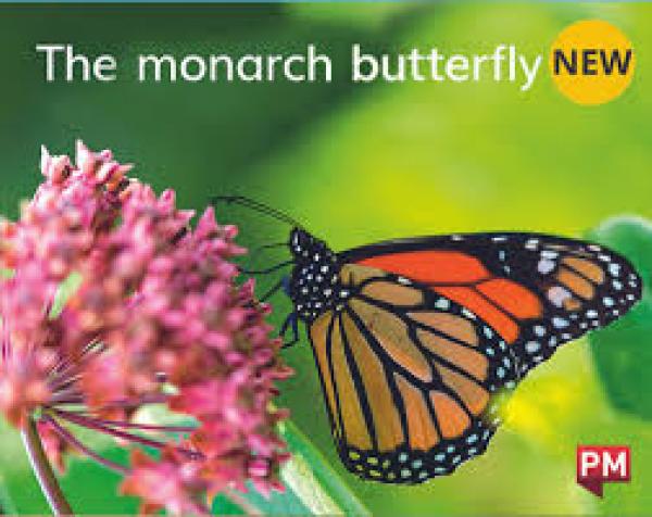 The Monarch Butterfly (Level 1)